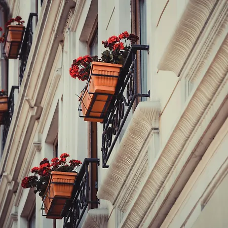 ケリカ 4* コンスタンツァ